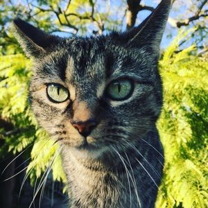 Meet your Posher, Thomas